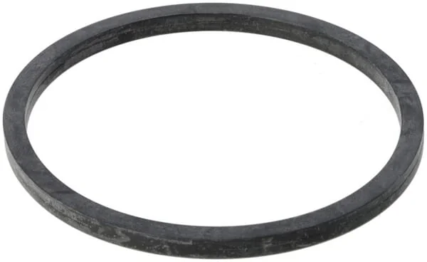 CNH - 5802455380 - Water Pump Gasket