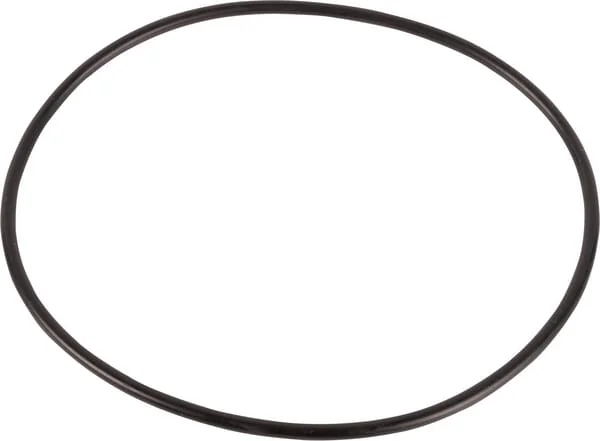 CNH - 87089S95 - O-Ring