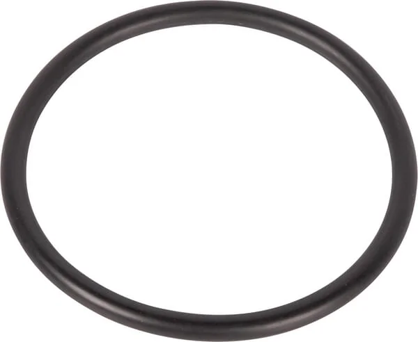 CNH - 9800643 - O-Ring