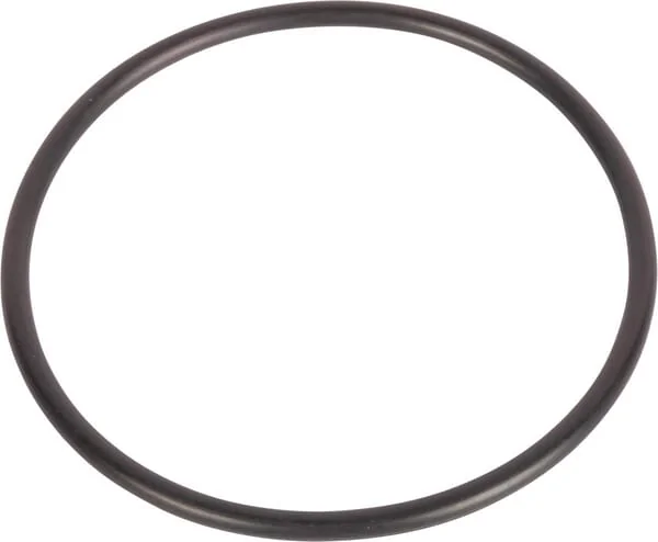 CNH - 9846875 - O-Ring