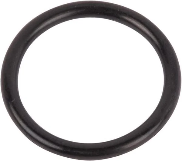 CNH INDUSTRIAL - 167269 - O-Ring