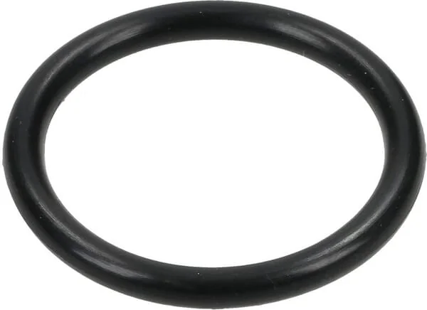 Comet - 12100002 - Sealing Ring 20.62x2.62 mm 70 Shore EPDM Black Comet