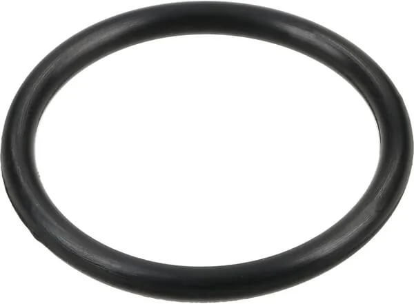 Comet - 12100037 - O-Ring 25x2.5mm 70 Shore EPDM Black Comet
