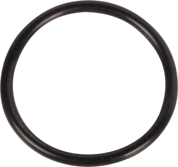 Dana Spicer - 001050044 - Gasket
