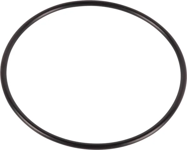 Dana Spicer - 001050691 - O-ring
