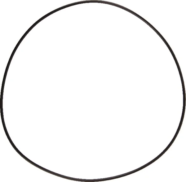 Dana Spicer - 001051306 - O-Ring