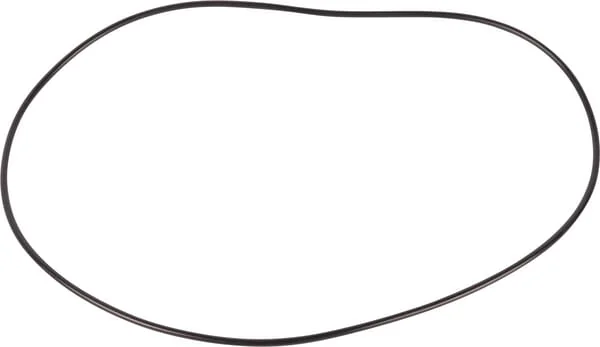 Dana Spicer - 001051356 - O-Ring