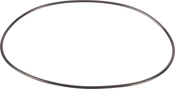 Dana Spicer - 001051447 - Ring