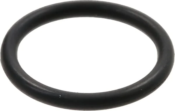 Dana Spicer - 001053329 - O-Ring