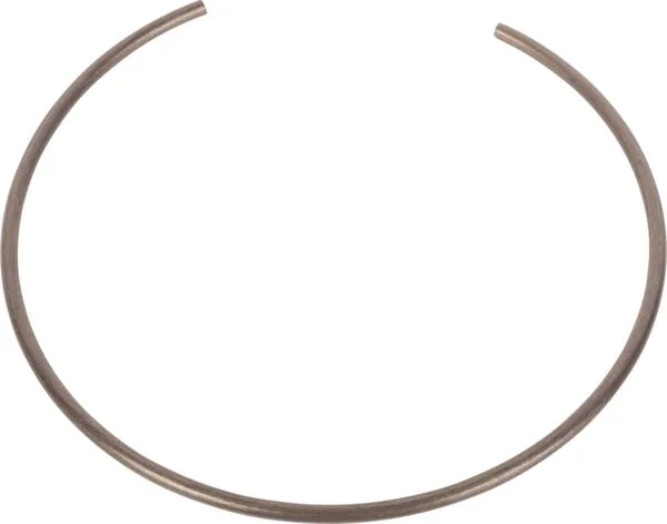 Dana Spicer - 1110601901 - Ring