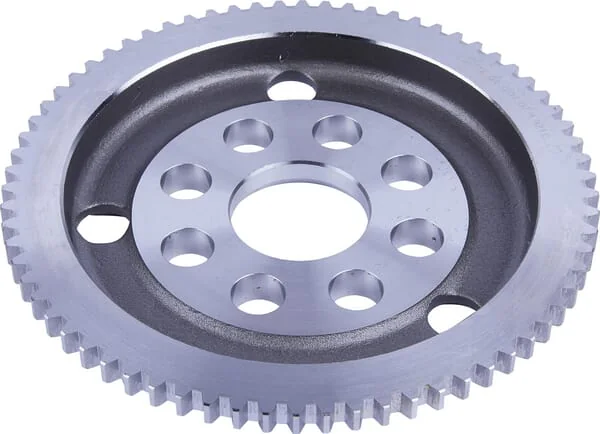 Dana Spicer - 1120600707 - Gear Ring