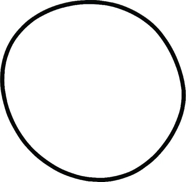 Dana Spicer - 1120700801 - O-Ring