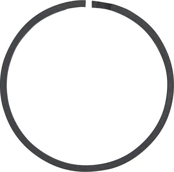 Dana Spicer - 230416 - Segment