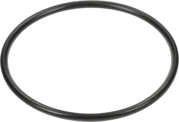 Dana Spicer - 3019943X1N - Backup Ring