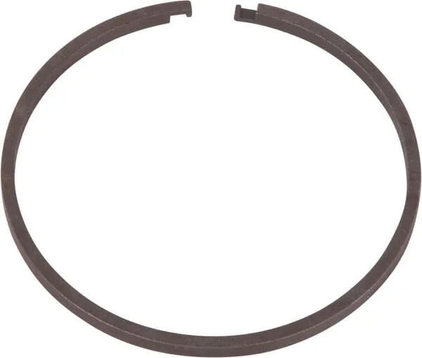 Dana Spicer - 4203872 - Segment