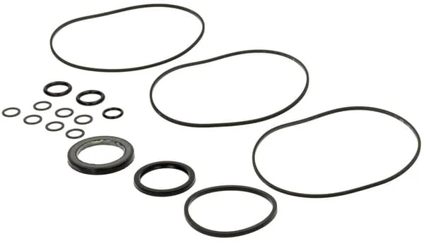 Danfoss - 1039AFD - Seal Kit Lynn S-Plus