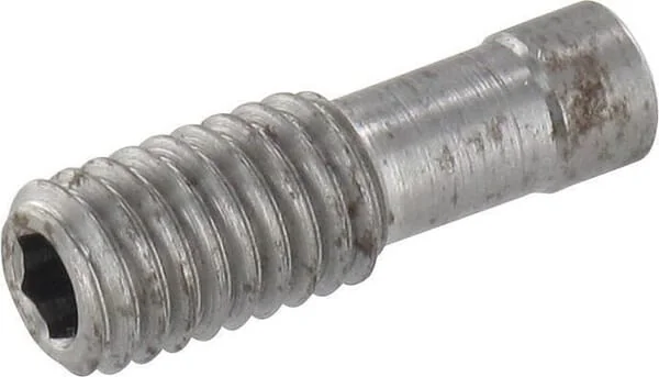 Danfoss - PVG329155L5153 - Blanking Plug, M6x19 155l5153 pos. 21