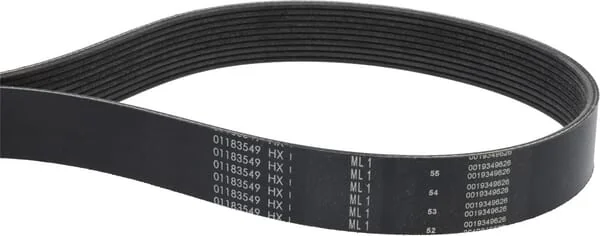 Deutz - 01183549 - V-Ribbed Belt