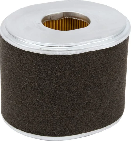 Donaldson - P607254GJ - Air Filter