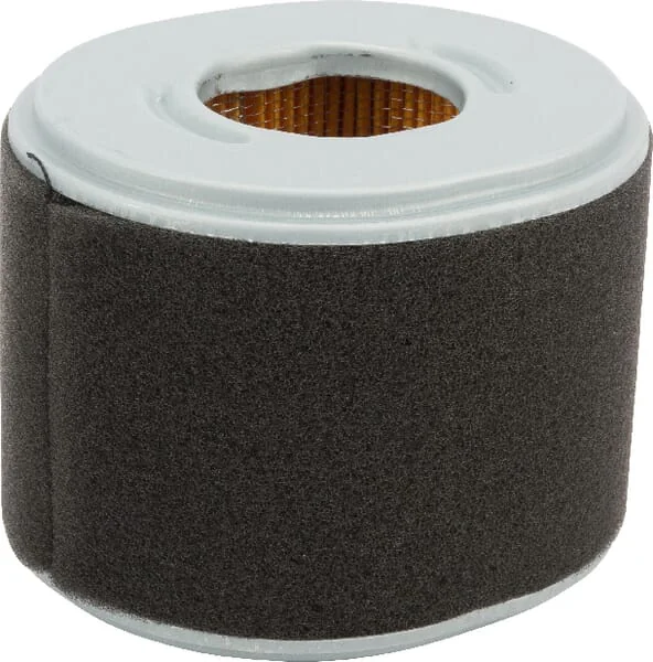 Donaldson - P607273GJ - Air Filter