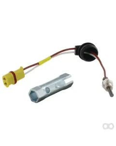 Eberspaecher - 252070011100 - Glow Plug 24 V