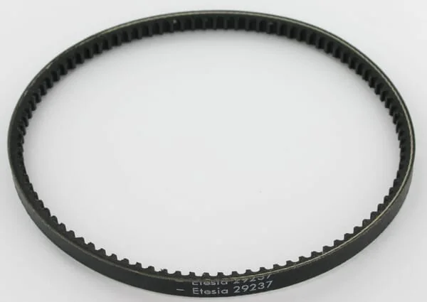 Etesia - ET29237 - Timing Belt Etesia