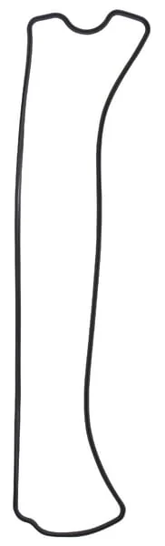 Glaser Dana - R123542N - Rocker Cover Gasket