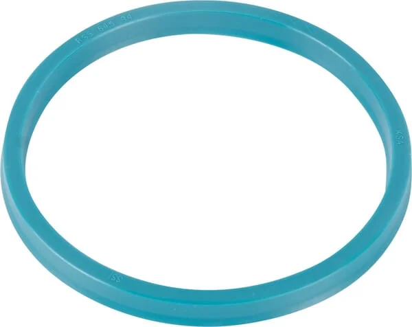 Goldoni - 00019727 - Piston Gasket