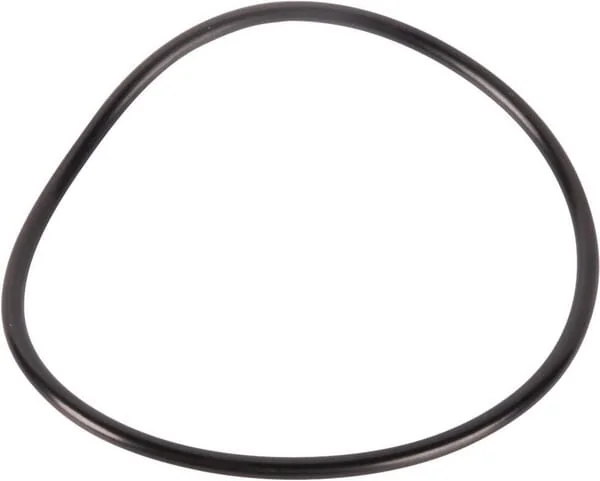 Goldoni - 06230062 - O-Ring 78.97x3.53/431