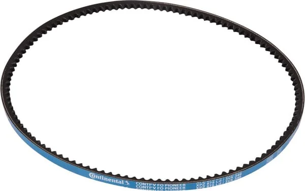 Goldoni - 06330030 - V-Belt