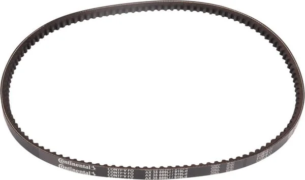 Goldoni - 06330098 - V-Belt