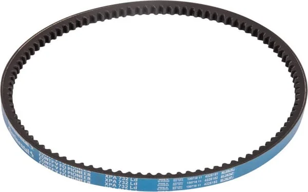 Goldoni - 06330162 - V-Belt
