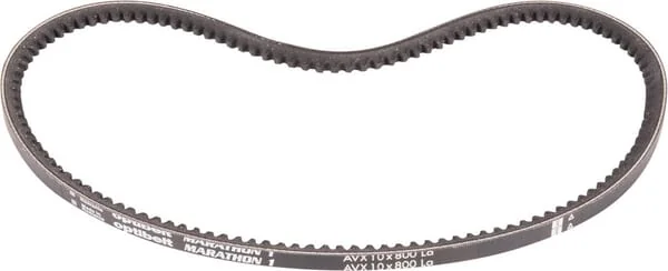 Goldoni - 0L2440022 - Belt