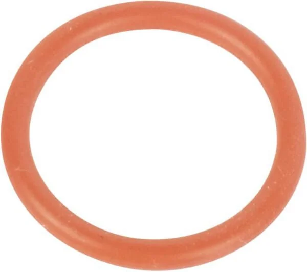 Goldoni - V0071225 - Gasket