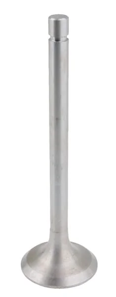 Gopart - 2401007014B4N - Intake Valve