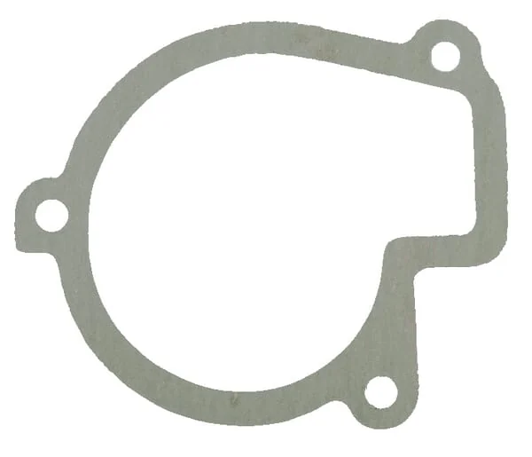 Gopart - 501307048BN - Seal Belarus