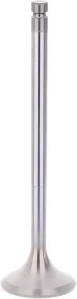 Gopart - V836646357N - Exhaust Valve