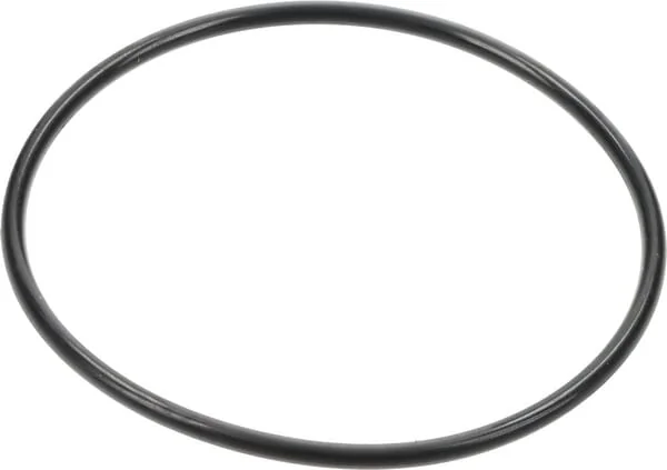 Gregoire Besson - 1292310 - O-Ring 60x2.5 SPML9