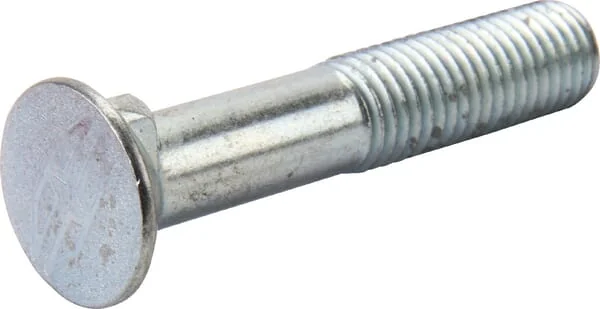 Gregoire Besson - VI1704 - Screw SK 1S M11x55