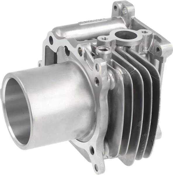 Honda - 12100Z9L405 - Cylinder Complete