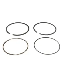 Honda - 13010Z1C800 - Piston Ring Set