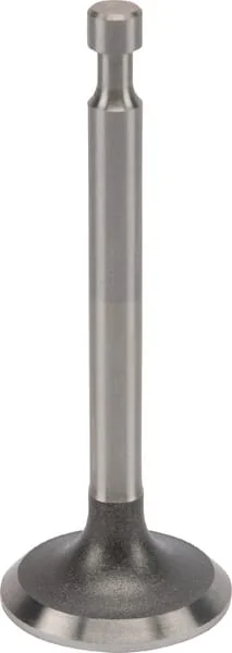 Honda - 14721Z4V900 - Exhaust Valve