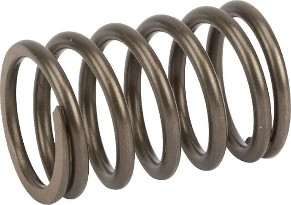 Honda - 14751Z1C000 - Valve Spring