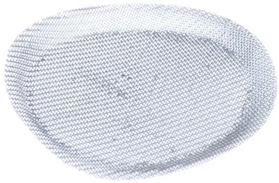 Honda - 16018ZM3004 - Inlet Screen