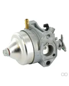 Honda - 16100Z0Y813 - Carburetor Assembly (BB6)
