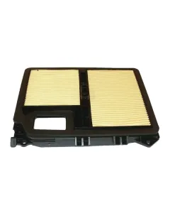 Honda - 17010ZJ1000 - Air Filter GX620