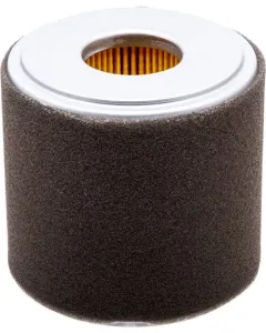 Honda - 17210Z1C781 - Centrifugal Air Filter