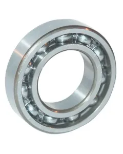 INA FAG - 6010 - Bearing