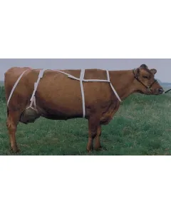 Kerbl - 1579060418 - Udder Protection Harness With Necklace XL