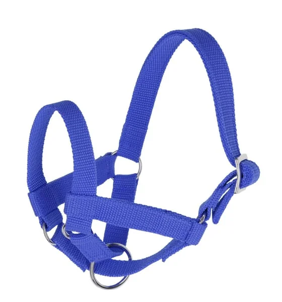 Kerbl - 27199 - Halter For Llamas And Alpacas Size 60, Blue